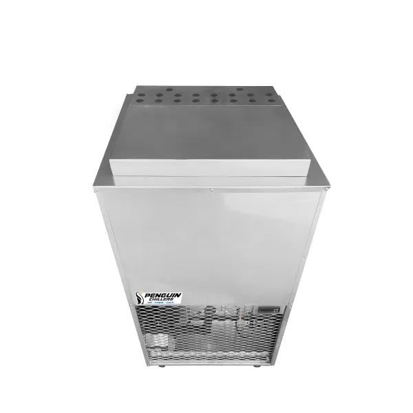 Penguin 2 HP XL Glycol Chiller